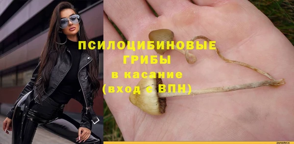 apvp Арсеньев