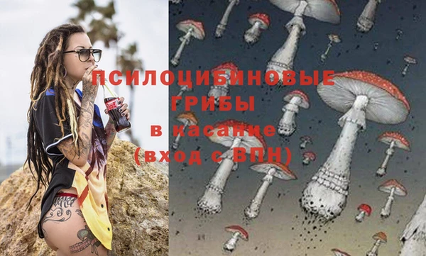 хмурый Армянск